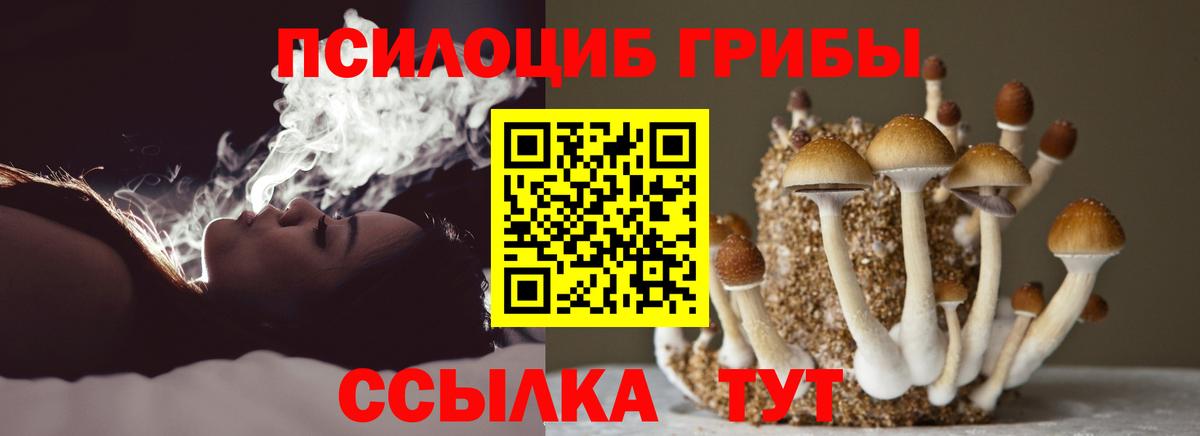 Галлюциногенные грибы Cubensis  где купить наркотик  Павловский Посад  Вход с VPN 